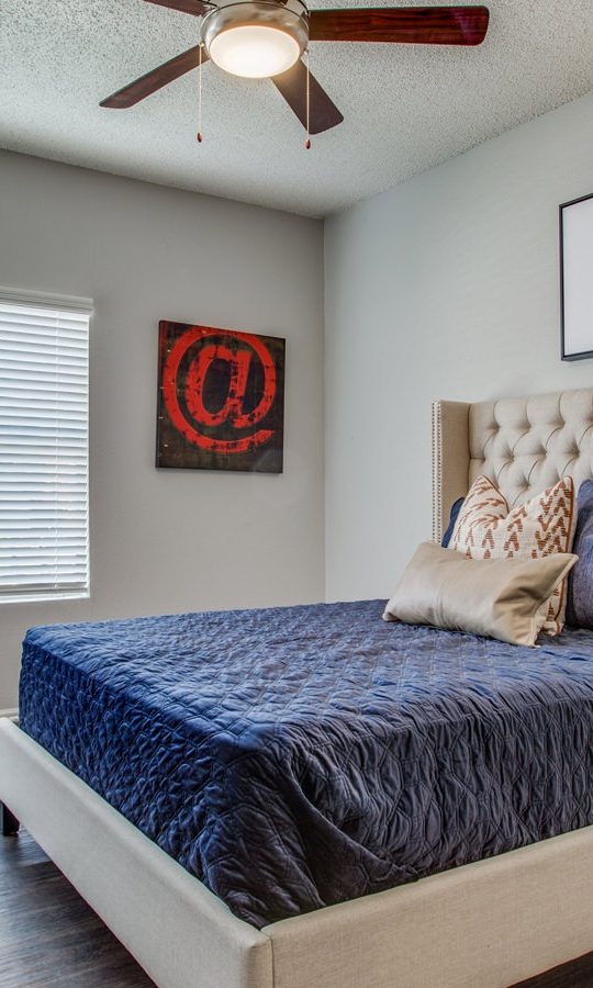 Luxury Apartments for Rent in Arlington, TX Felix